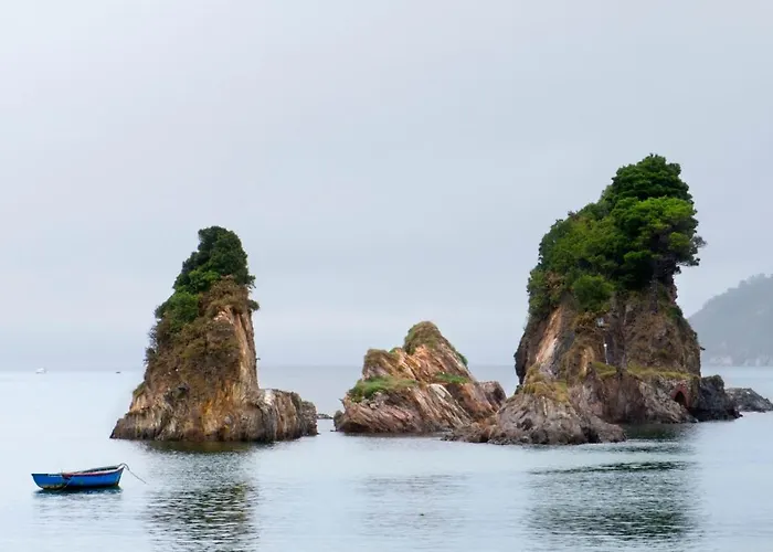 Casa Courcelles - Viveiro